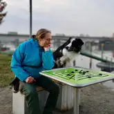 Hundeführerin spielt mit ihrem Rettungshund Mühle am Neackar