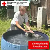 Rettungshund Spicy wird an einem heißen Tag von Rettungshundeführerin gebaded