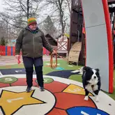Mantrailer Hund Finnley in der Suche denkt nach