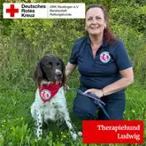 Therapiehund Ludwig Therapiehund Ludwig, ein kleiner Münsterländer, und seine Hundeführerin sitzen beim shooting in einer Wiese