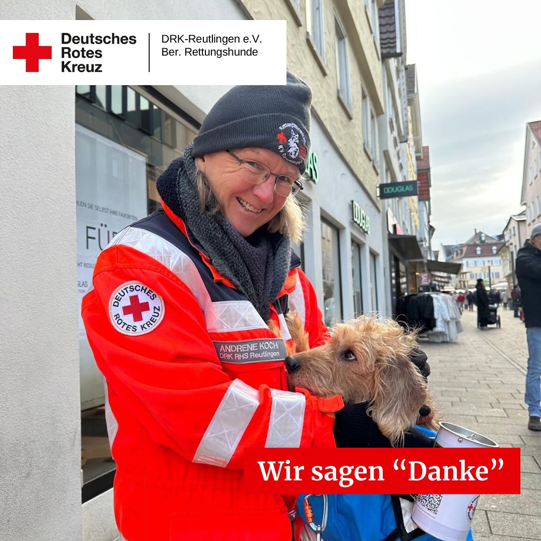 Rettungshunde sammeln Spenden