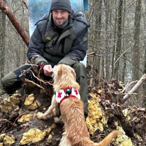 Steirische Rauhaarbracke, Rettungshund Cäthe, wird von Versteckperson beim Fund mit Futter besetätigt.