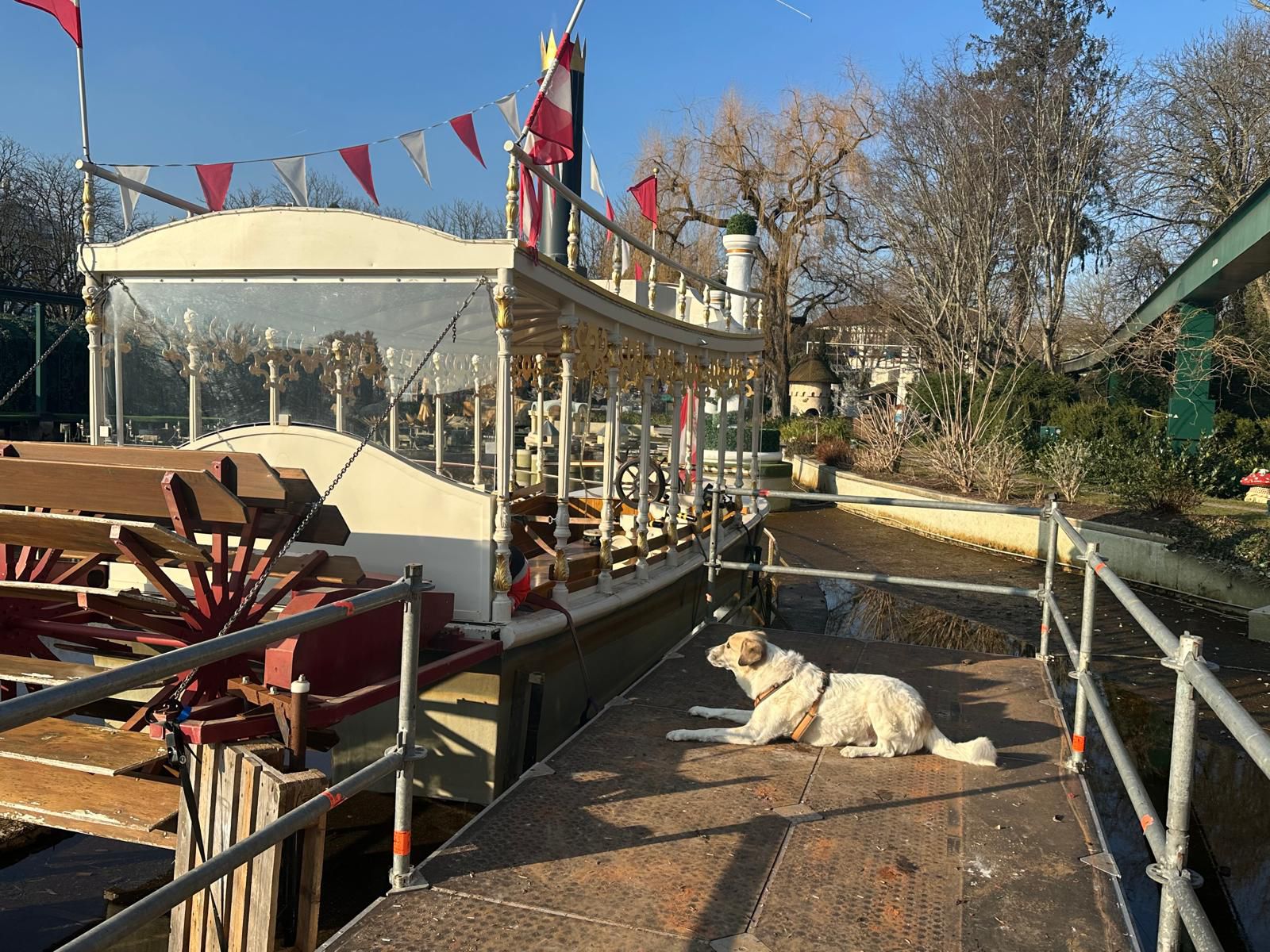 Ein Rettungshund auf einem Steg liegend vor einem Boot im Europapark beim Rettungshundetraining