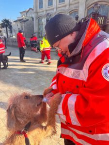 Eine Einsatzkraft des DRK Reutlingen in Einsatzkleidung füttert einen Rettungshund.