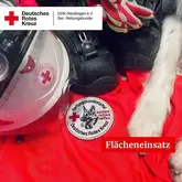 2025-10-12 Einsatz Fläche Einsatzkräfteausstattung der Rettungshunde mit Helm Einsatzschuhe und Handschuhe