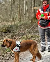 Mensch hunde Team im Wald kurz vor der Suche in der Vorbereitung. hund trägt eine Kenndecke und Hundeführer in PSA