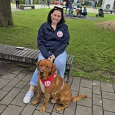 Therapiehundeteam auf einer Parkbank