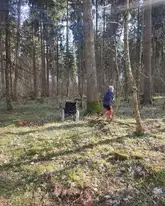 Frau im Wald mit Rollstuhl
