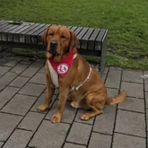 Besuchsund Profilfoto