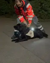 Rettungshundeteam Eddie und Ralf beim Ansetzen zur Suche