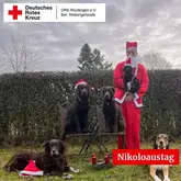 Nikolaustag 2025 Person im Nikolaus Anzug mit 4 Hunden im Garten