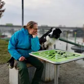 Frau spielt mit Hund Mühle am Fluss