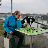 Palo und Yvonne Frau spielt mit Hund Mühle am Fluss