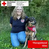 Therapiehund Gino 2025 Therapiehundeteam in Wiese Profilbild