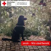Titelbild 2026 Wir sind bereit Hund sitzt ganz aufgeregt im Garten mit Lichterkette
