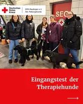 Titelbild eingangstest Therapiehunde Titelbild zu einem Test bei den Therapiehunden mit mehreren Menschen und Hunden in einer Fahrzeughalle