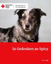 Rettungshund auf Titelbild eines Nachrufs