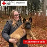 Titelbild Willkommen Tilda Tervuren Welpe mit Rettungshundeführer im Wald