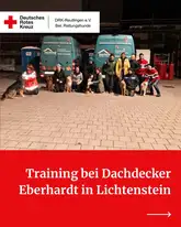Gruppe an Mensch Hund Rettungshundeteams vor den Fahrzeugen des Dachdeckers auf dessen Gelände trainiert wurde