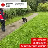 Training im ehemaligen Schwesternwohnheim 2026 Mantrailerteam trailen an einem Weg entlang